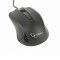 Gembird Optical mouse, USB, black